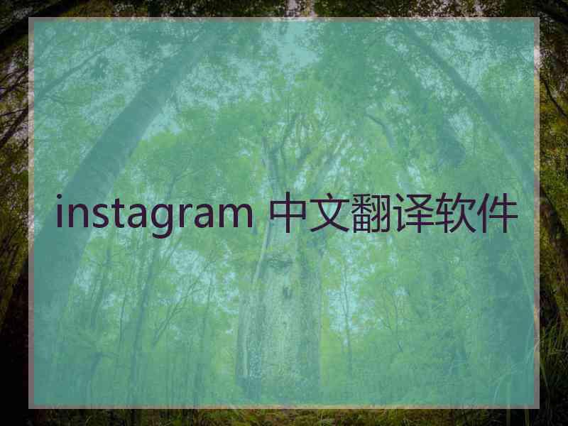 instagram 中文翻译软件