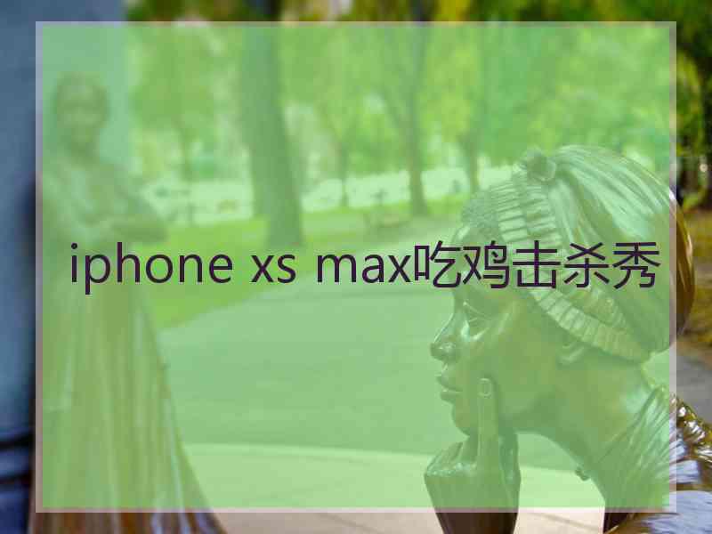 iphone xs max吃鸡击杀秀