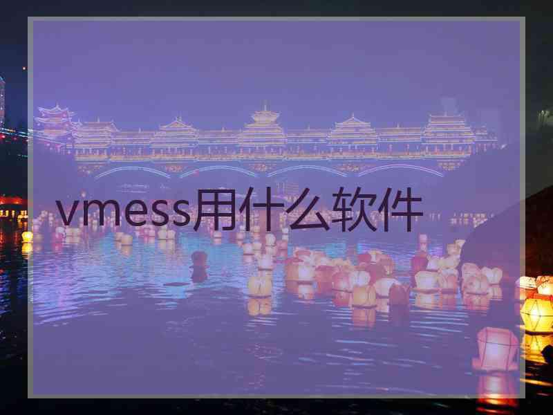 vmess用什么软件