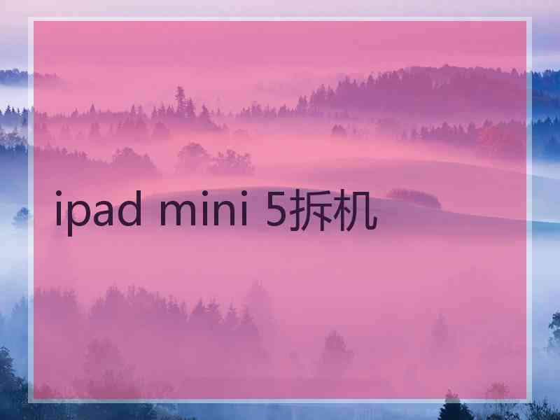 ipad mini 5拆机