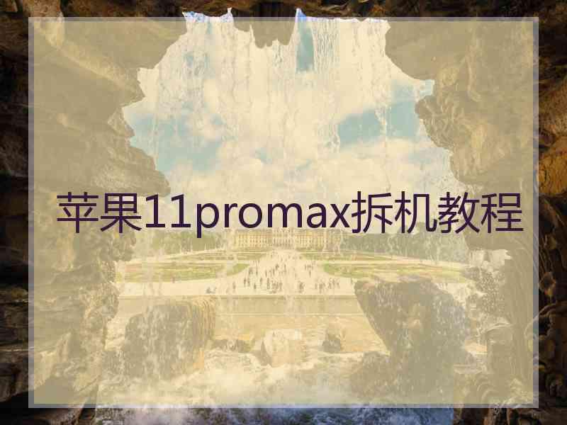 苹果11promax拆机教程