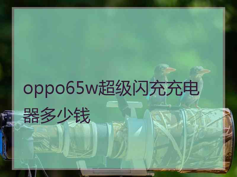 oppo65w超级闪充充电器多少钱