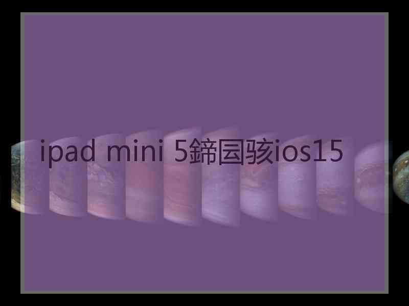 ipad mini 5鍗囩骇ios15