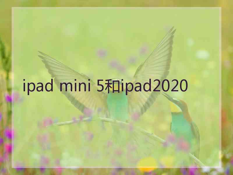 ipad mini 5和ipad2020