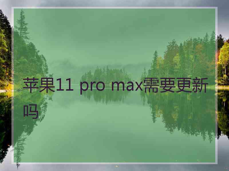 苹果11 pro max需要更新吗