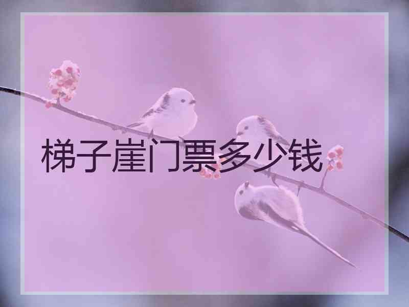 梯子崖门票多少钱