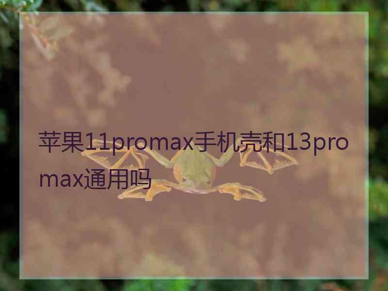 苹果11promax手机壳和13promax通用吗