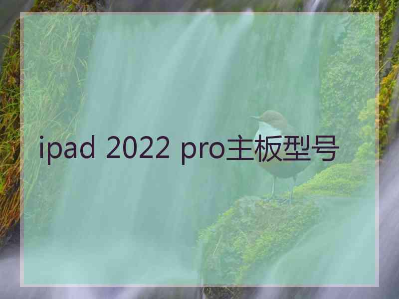 ipad 2022 pro主板型号