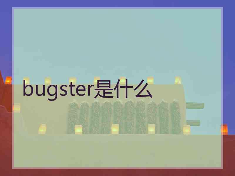 bugster是什么