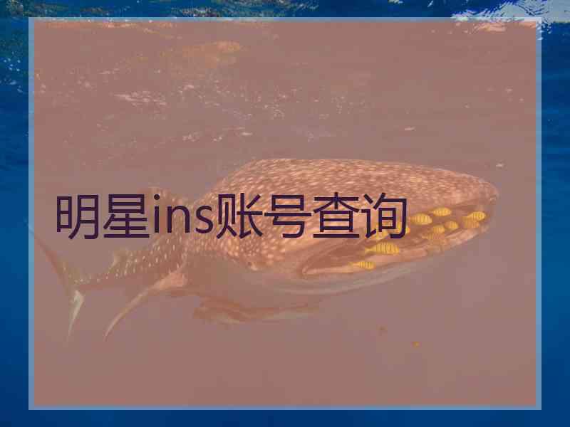 明星ins账号查询