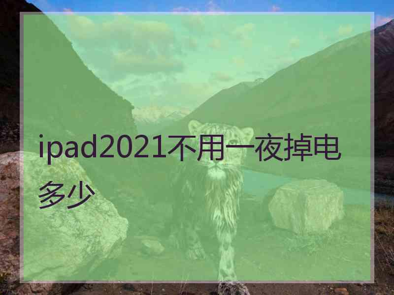 ipad2021不用一夜掉电多少