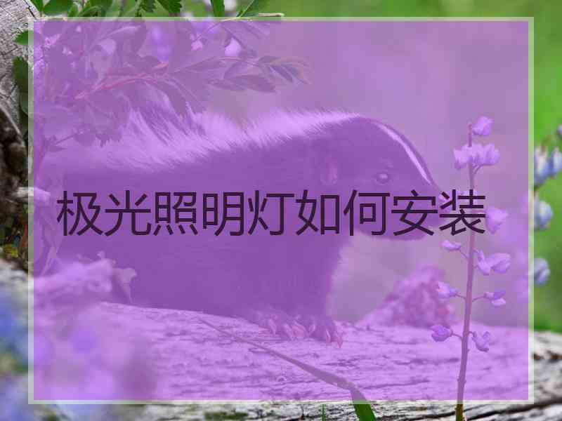 极光照明灯如何安装