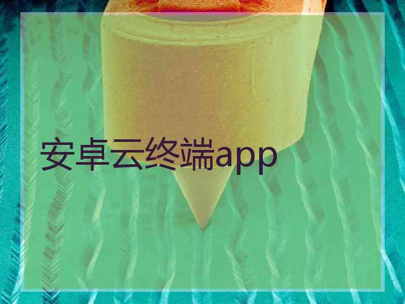 安卓云终端app