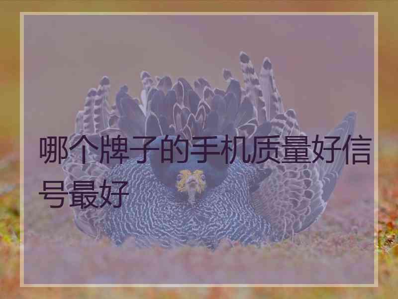 哪个牌子的手机质量好信号最好