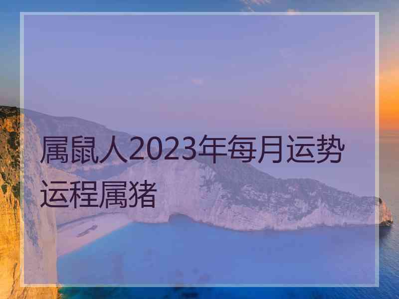 属鼠人2023年每月运势运程属猪