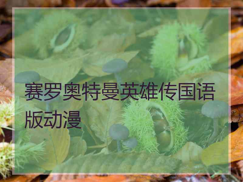 赛罗奥特曼英雄传国语版动漫