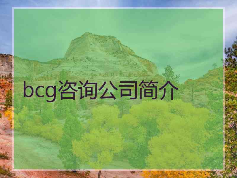 bcg咨询公司简介