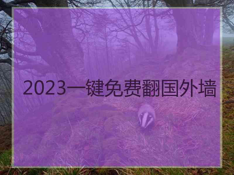 2023一键免费翻国外墙