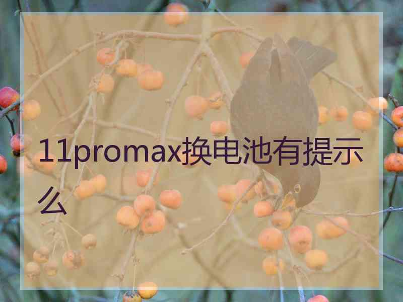 11promax换电池有提示么