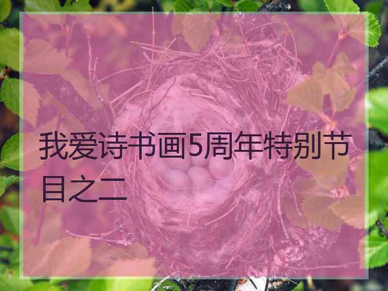 我爱诗书画5周年特别节目之二