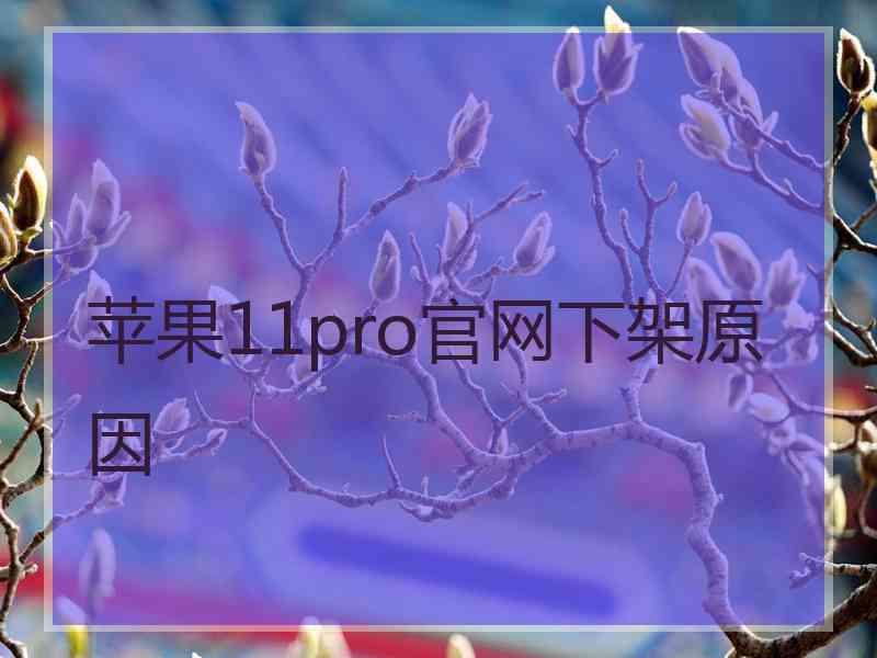 苹果11pro官网下架原因