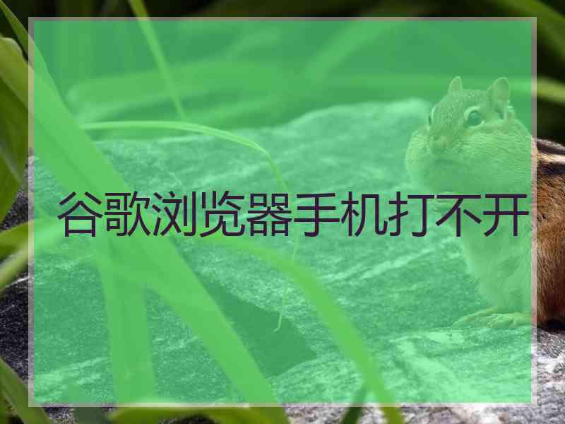 谷歌浏览器手机打不开