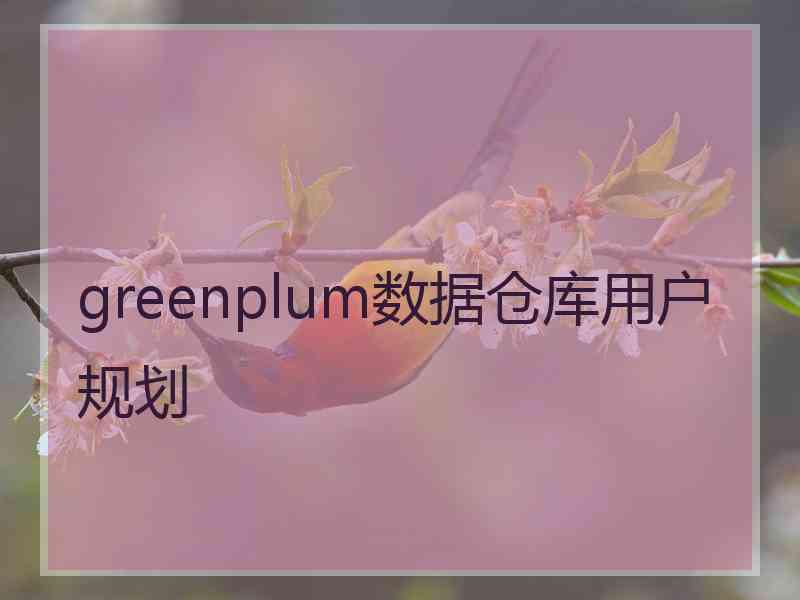 greenplum数据仓库用户规划