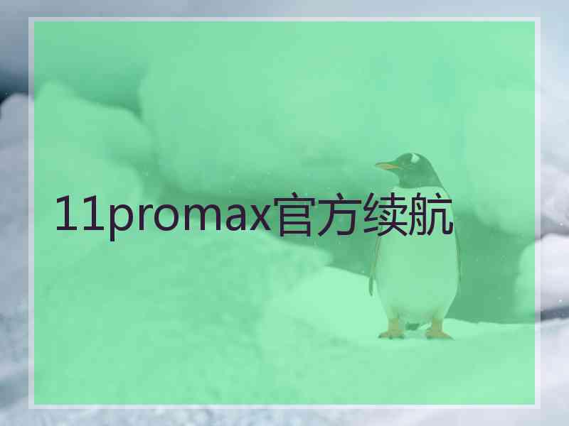 11promax官方续航