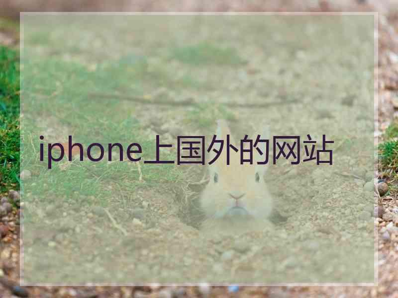 iphone上国外的网站