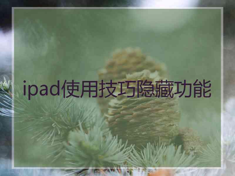 ipad使用技巧隐藏功能