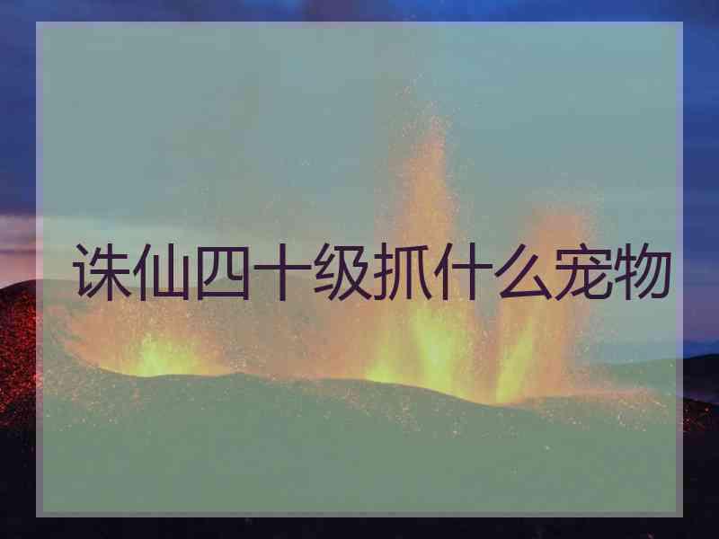 诛仙四十级抓什么宠物