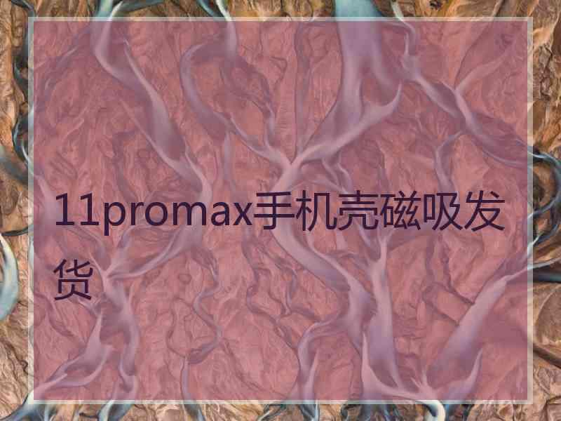 11promax手机壳磁吸发货