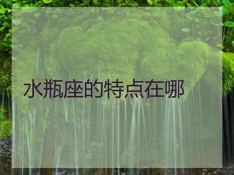 水瓶座的特点在哪