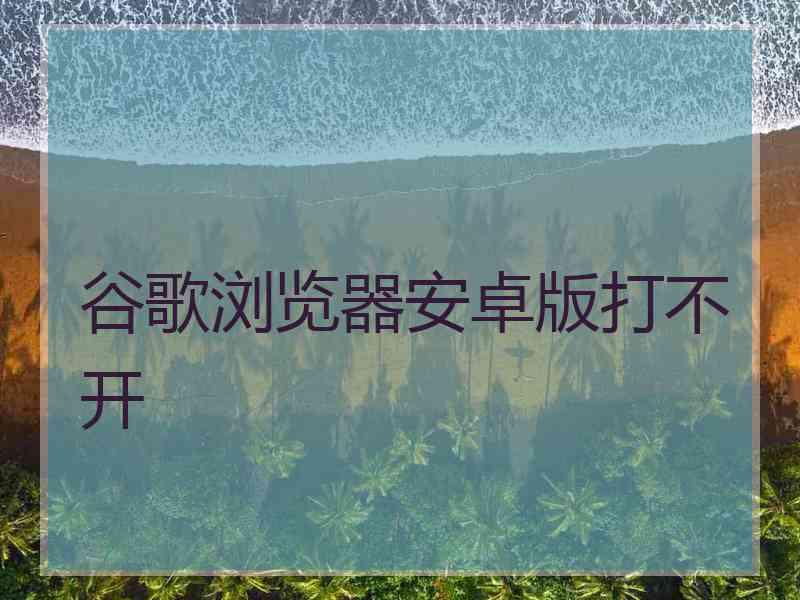 谷歌浏览器安卓版打不开