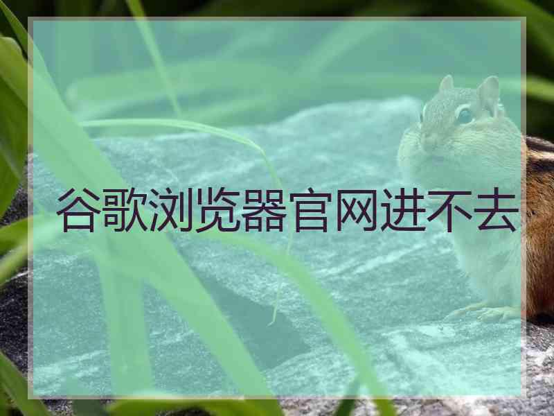 谷歌浏览器官网进不去