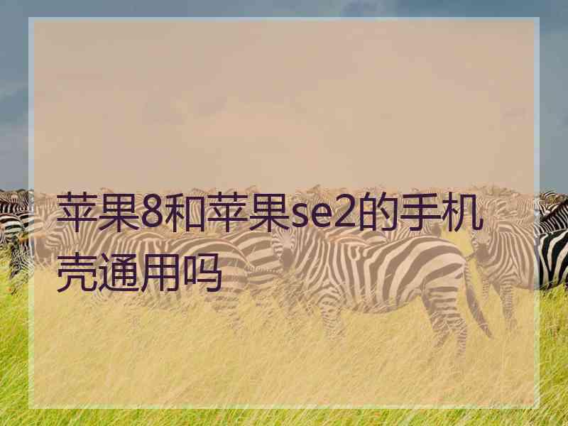 苹果8和苹果se2的手机壳通用吗