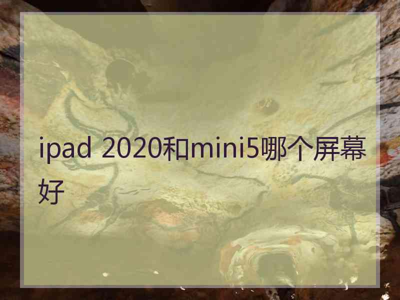 ipad 2020和mini5哪个屏幕好