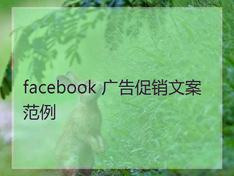 facebook 广告促销文案范例