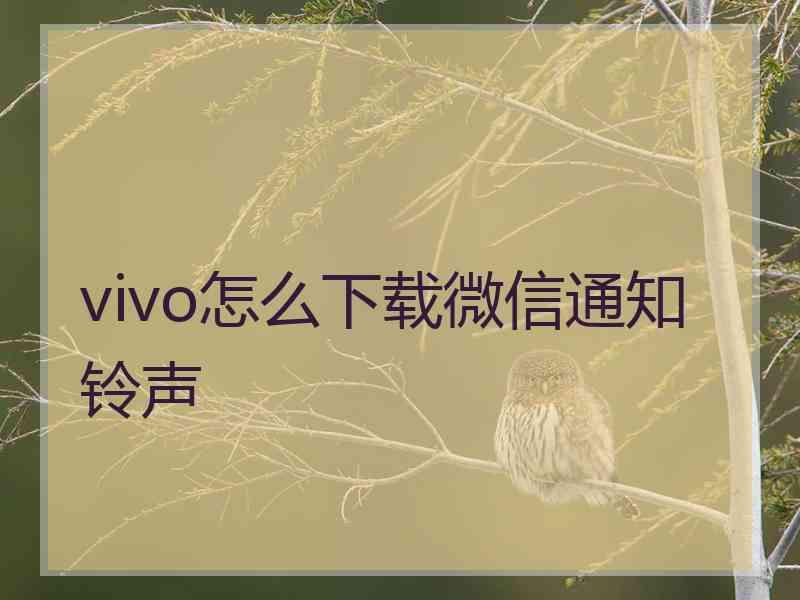 vivo怎么下载微信通知铃声