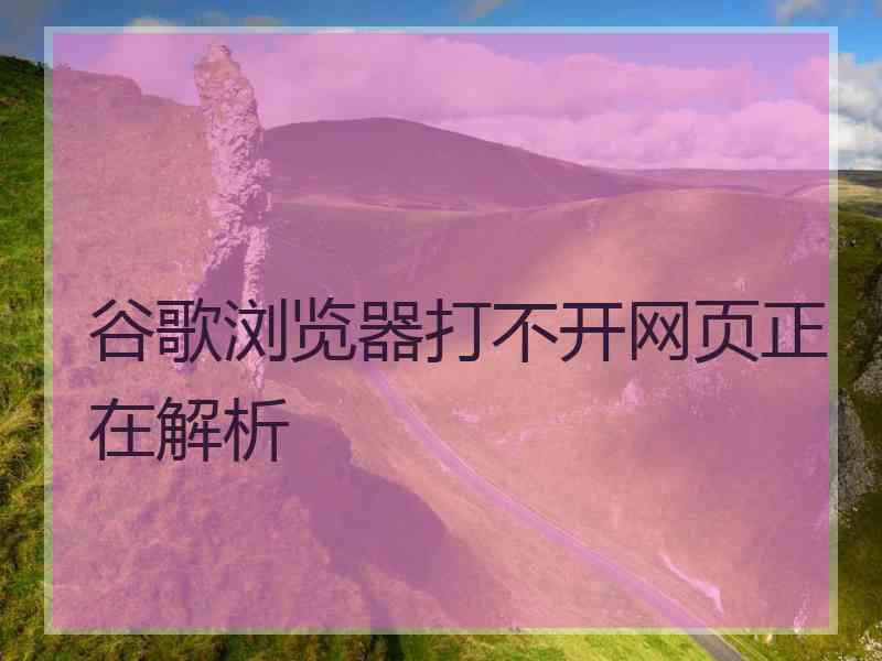 谷歌浏览器打不开网页正在解析