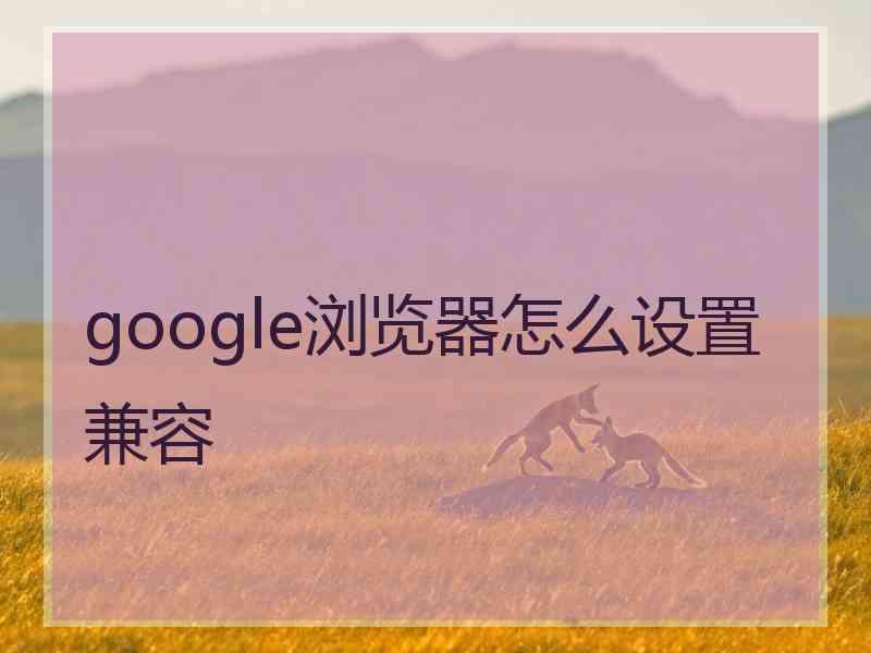 google浏览器怎么设置兼容