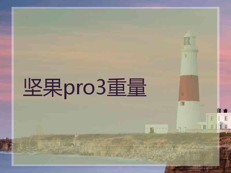 坚果pro3重量