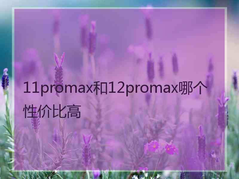 11promax和12promax哪个性价比高