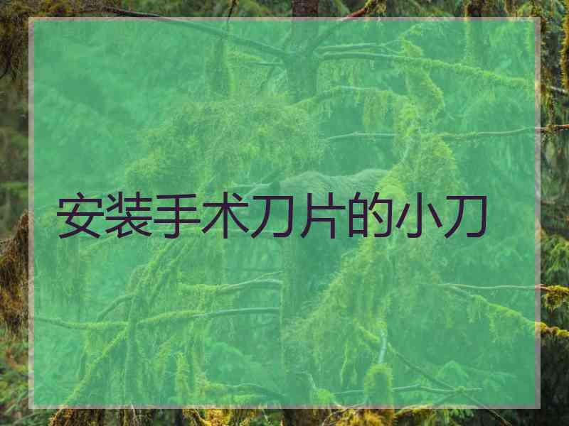 安装手术刀片的小刀