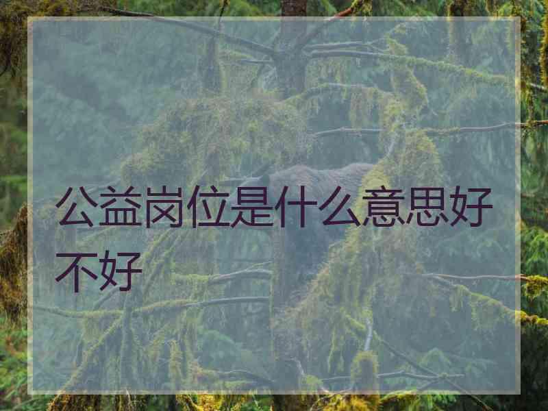 公益岗位是什么意思好不好