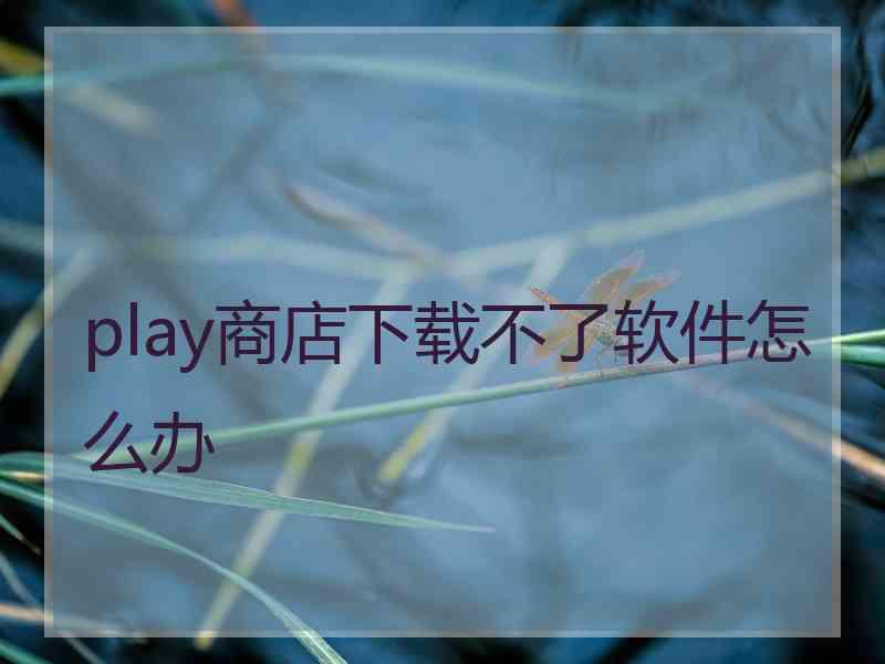 play商店下载不了软件怎么办