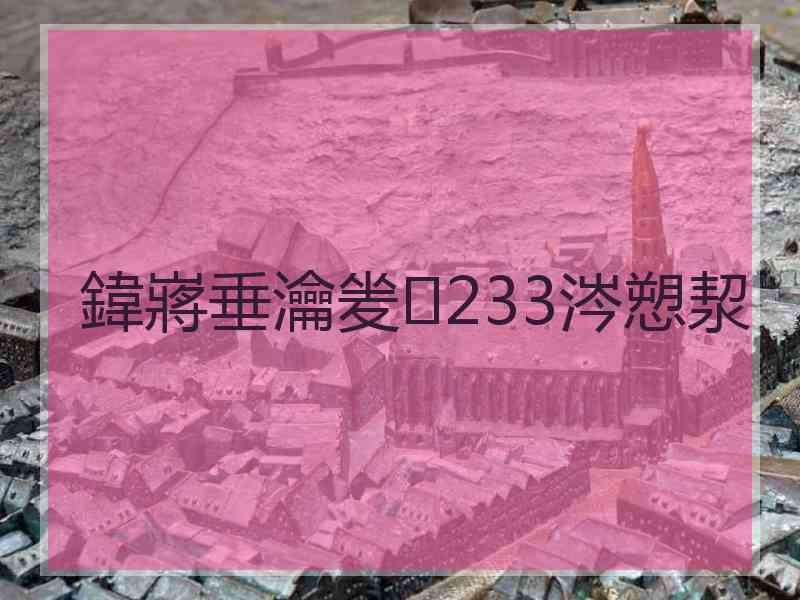 鍏嶈垂瀹夎233涔愬洯