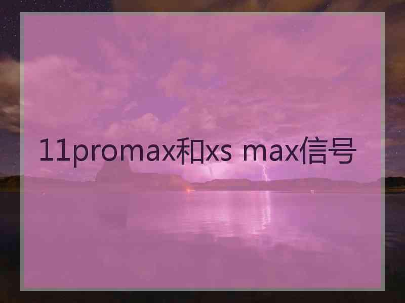 11promax和xs max信号