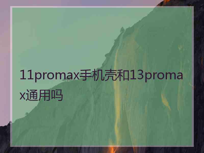 11promax手机壳和13promax通用吗