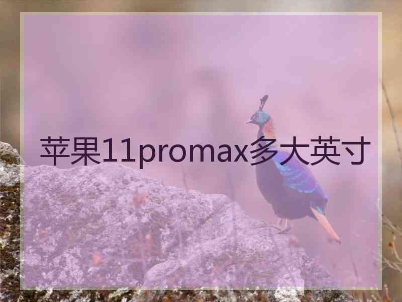 苹果11promax多大英寸